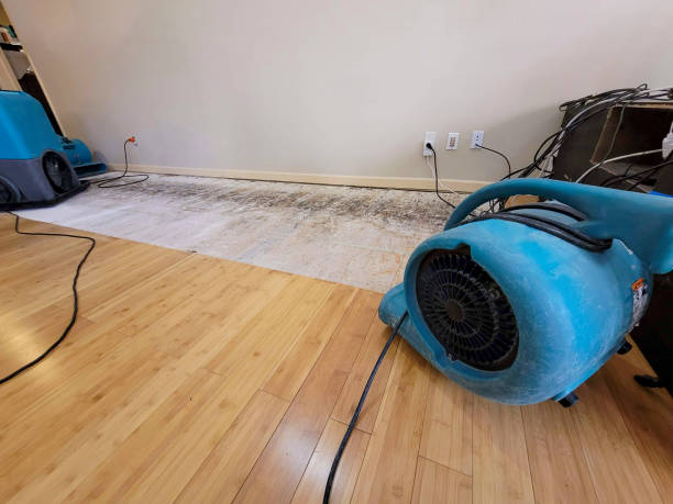 Professional Emergency Water Damage technician working in Palm Springs, FL